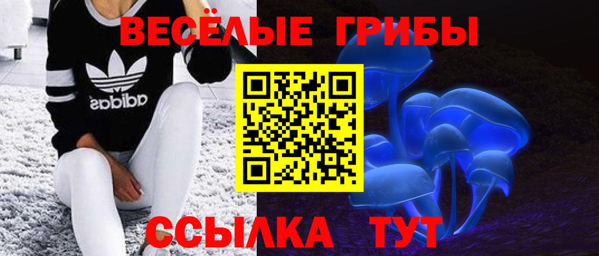 Когалым  Галлюциногенные грибы Magic Shrooms  Вход с VPN 
